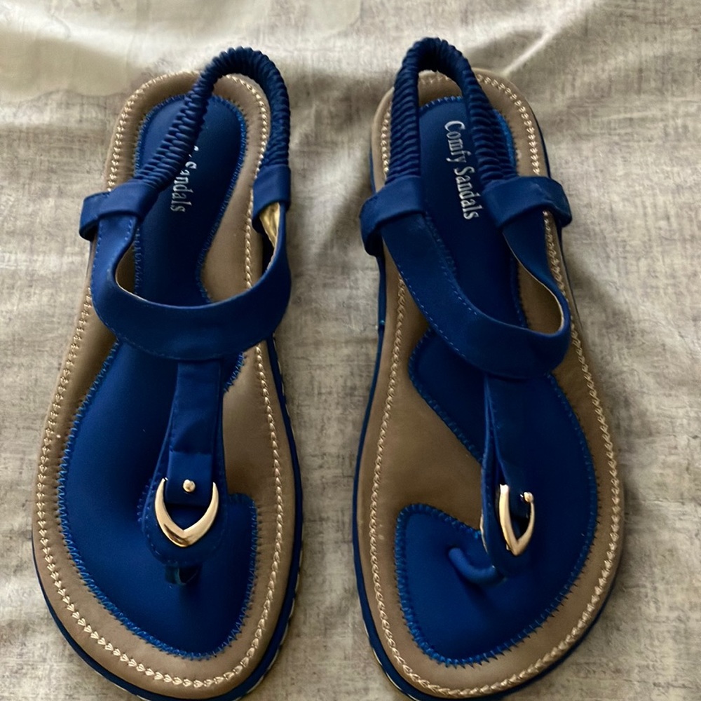 Royal Blue Sandals. Never warn. Size 7 1/2 but marked a larger foreign size Nice